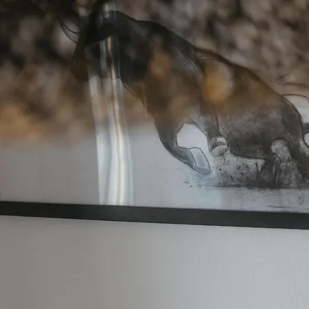 Villa Aillia House *