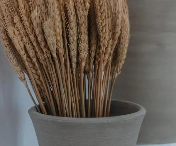 Aillia House Villa Artemonas